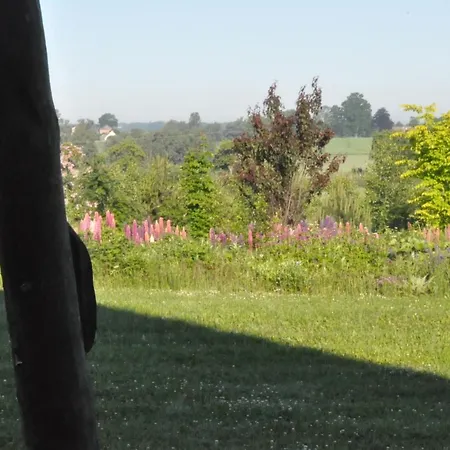 Homestay Bogdanki