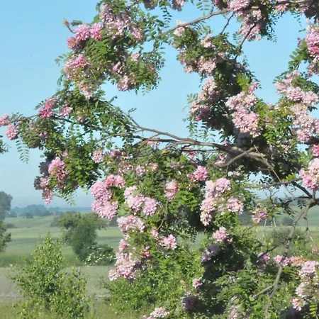 Bogdanki בית אירוח Stary Targ