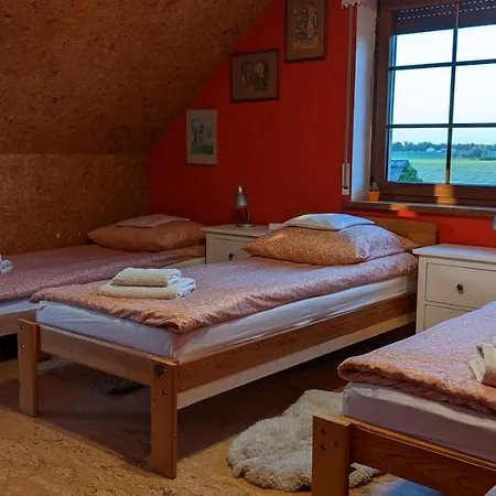 Bogdanki Homestay *