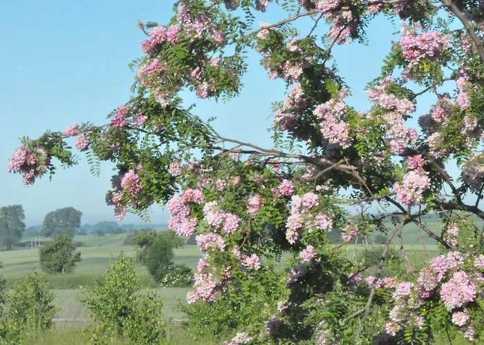 Bogdanki Pansiyon Stary Targ